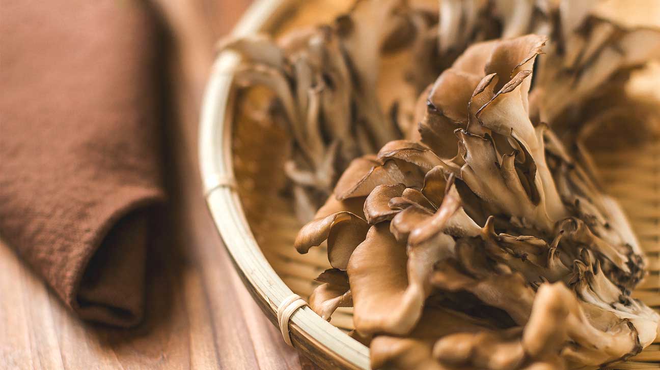 MaitakePilz Risiken, Vorteile und mehr