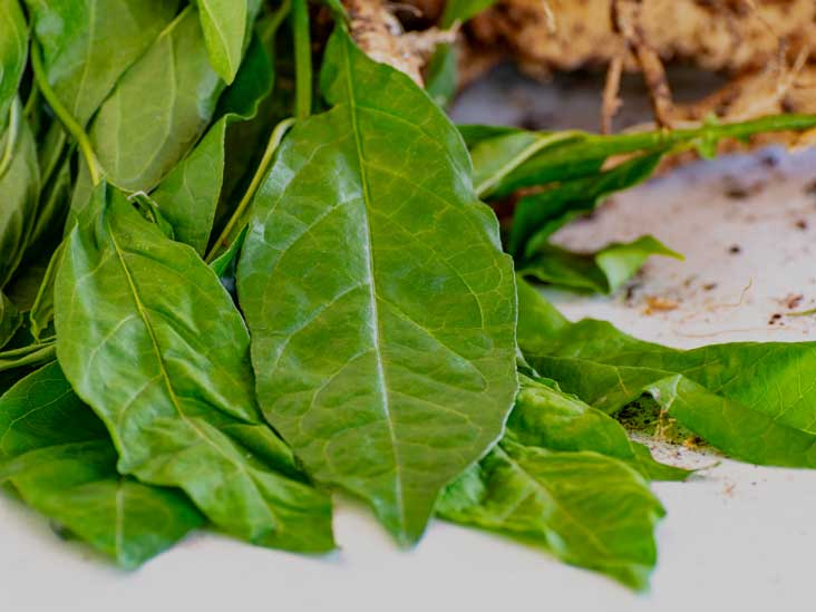 Alimentos que activan la testosterona