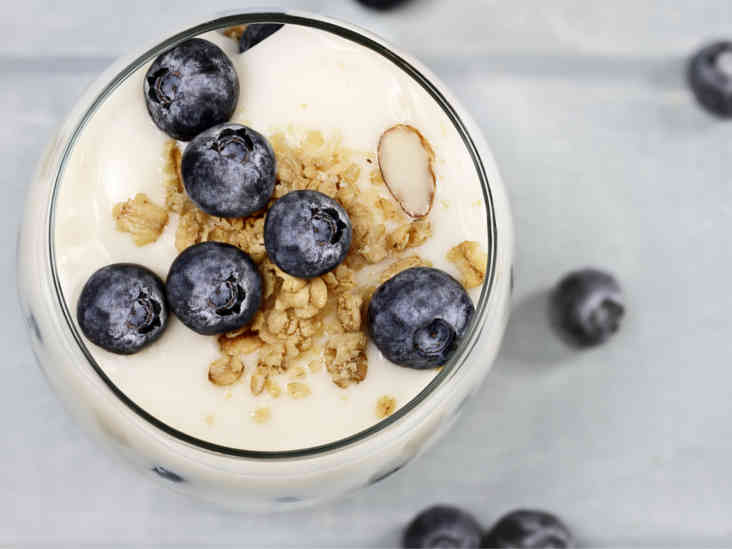 plain yogurt digestion