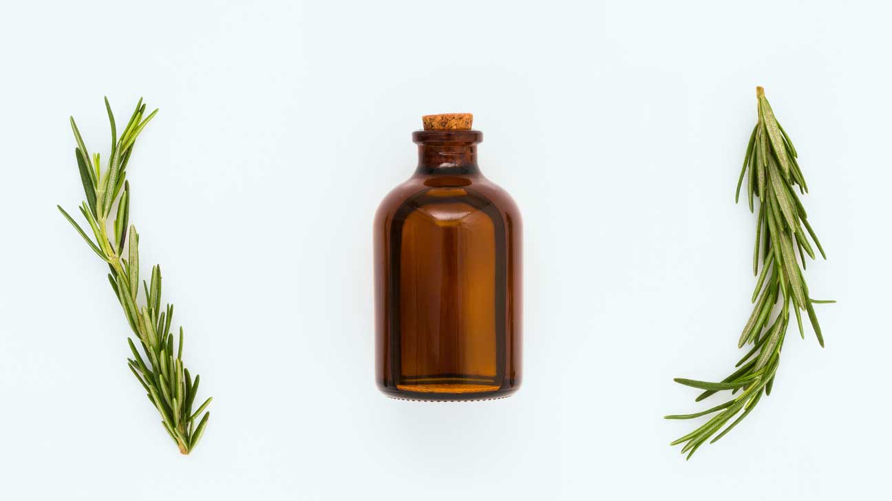 Organic Rosemary Oil Uses And Benefits Infoupdate