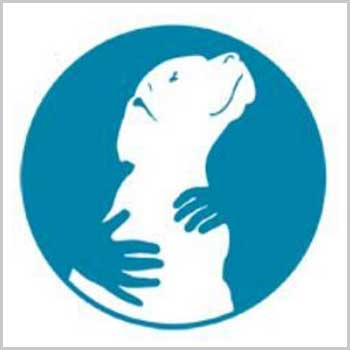 The Best Animal Therapy Nonprofits Of 2017