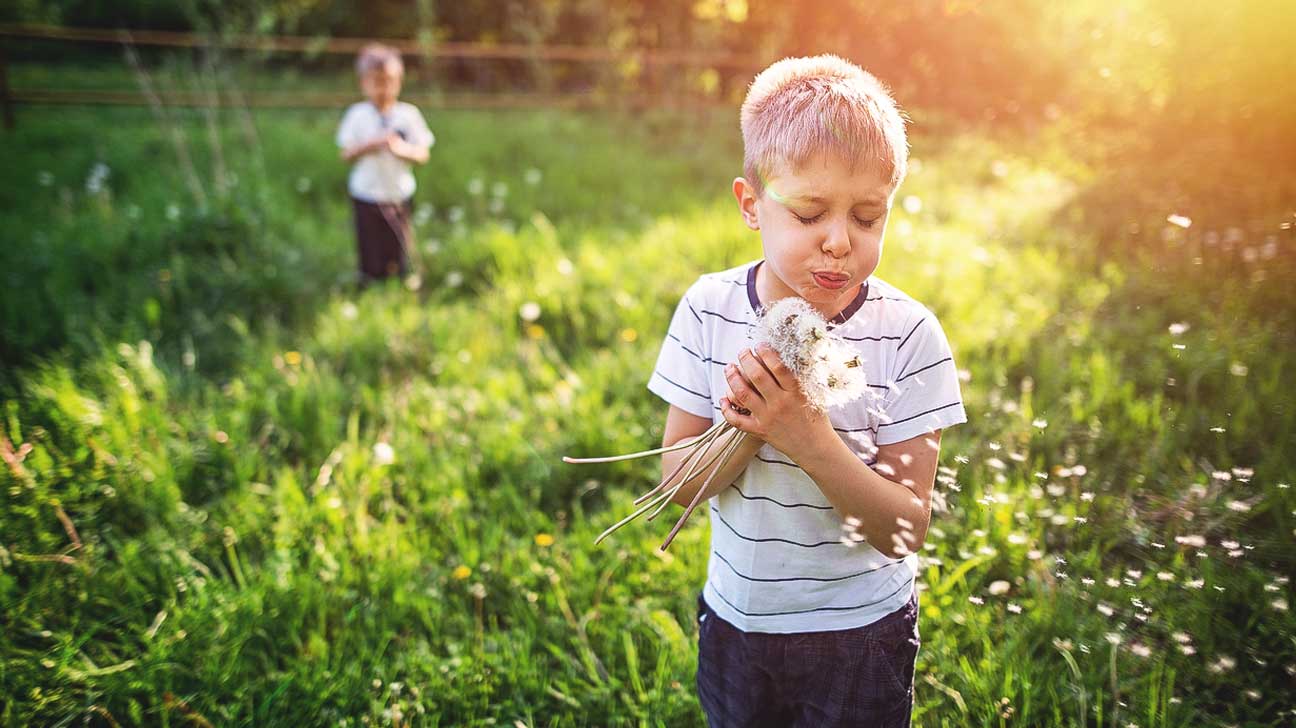 Strong Allergy Season How to Cope