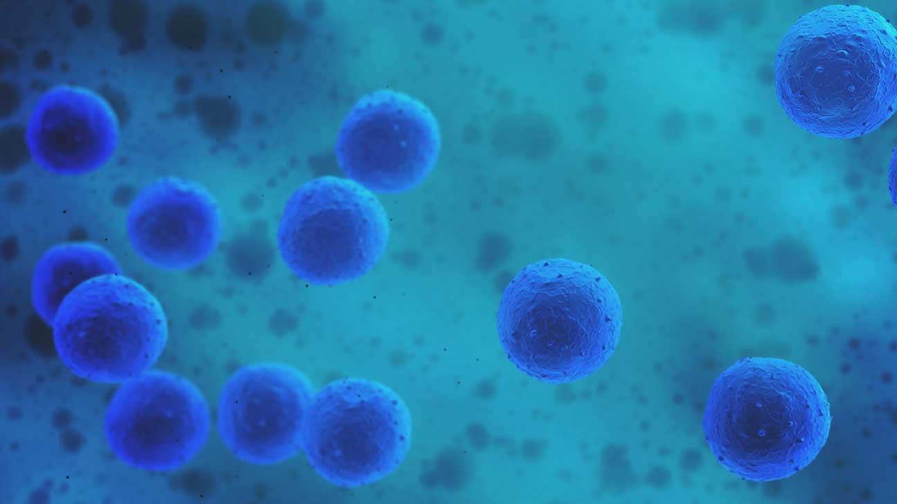 070116 Stemcelltourism THUMB LARGE