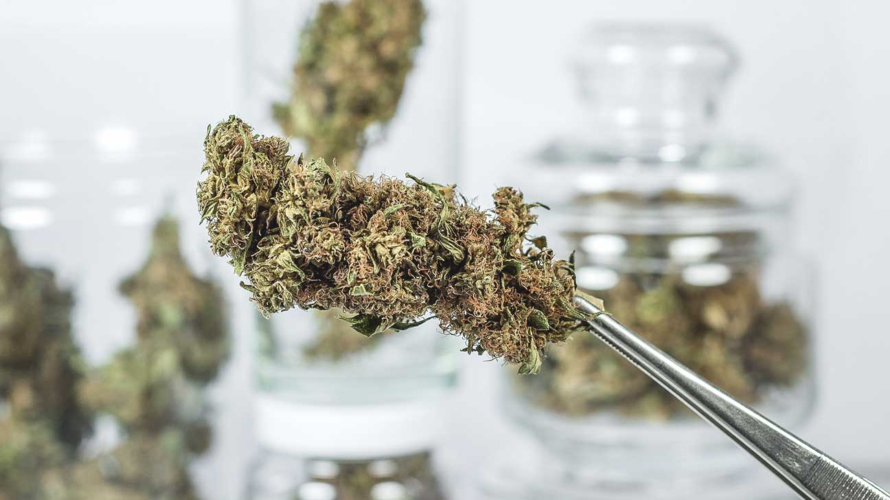 From marijuana to LSD, now illegal drugs delivered on your doorstep |  IBTimes, image size:1296x728