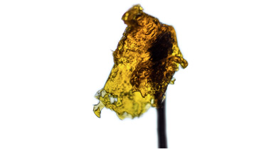 Hash Oil A Cannabis Concentrate