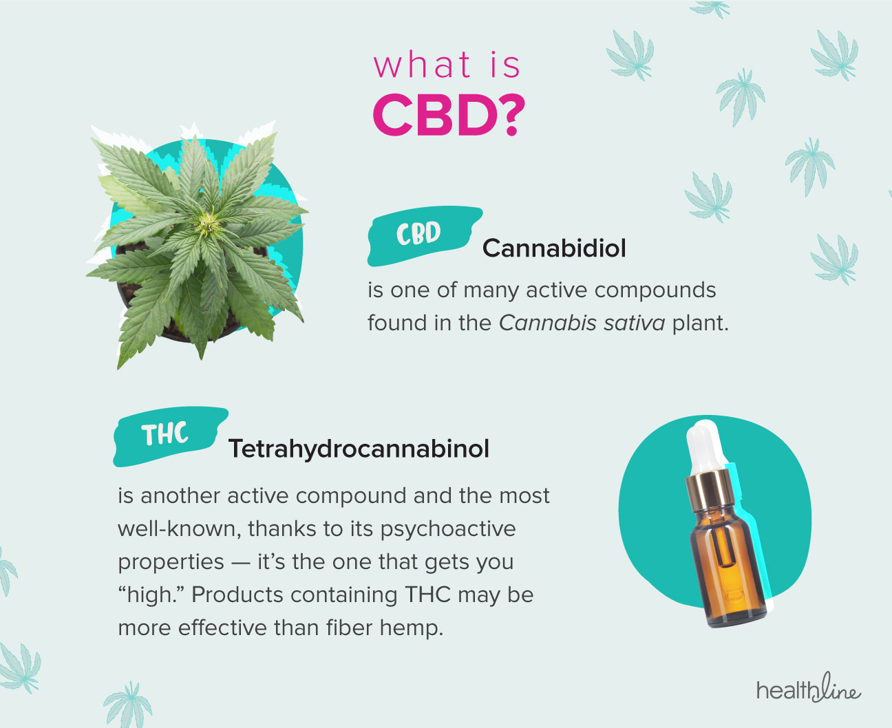 La tua guida per CBD