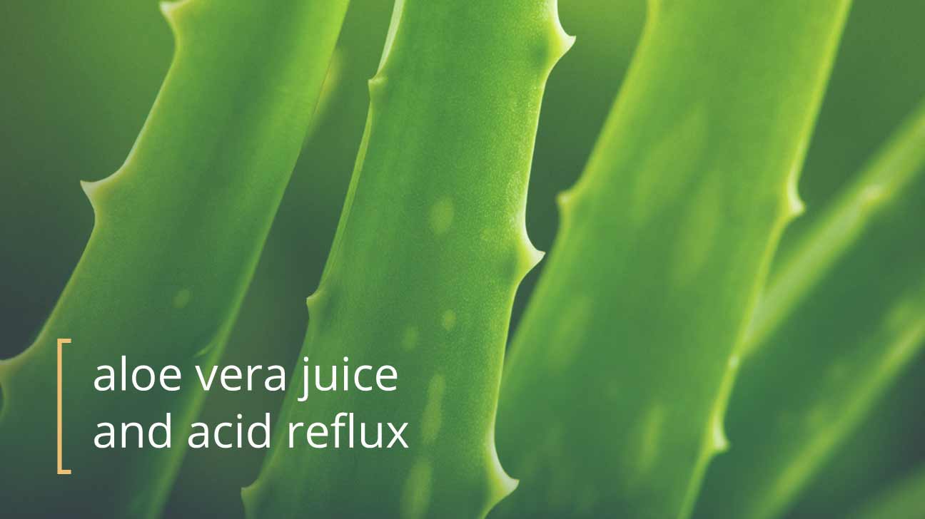 Aloe Vera Juice for Acid Reflux What You Should Know