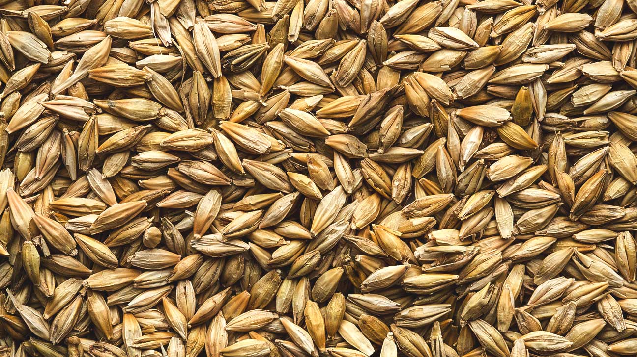 Is Barley GlutenFree?