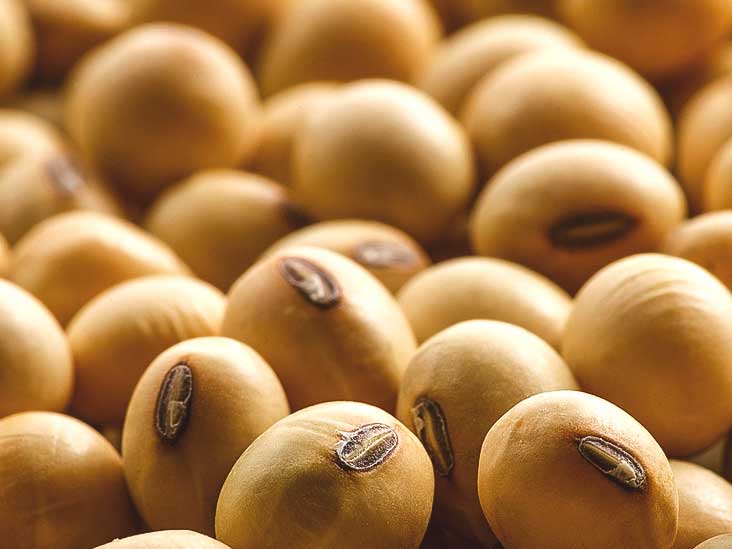 Organic Food Meaning In Urdu Organic Food