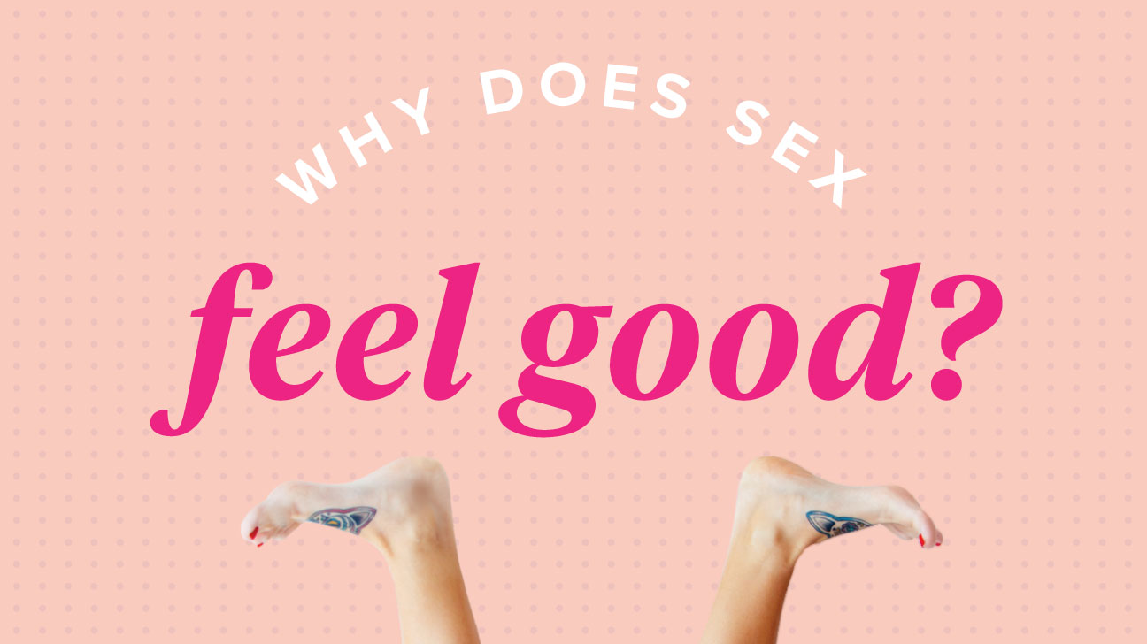 Why Does Sex Feel Good for Men and Women?