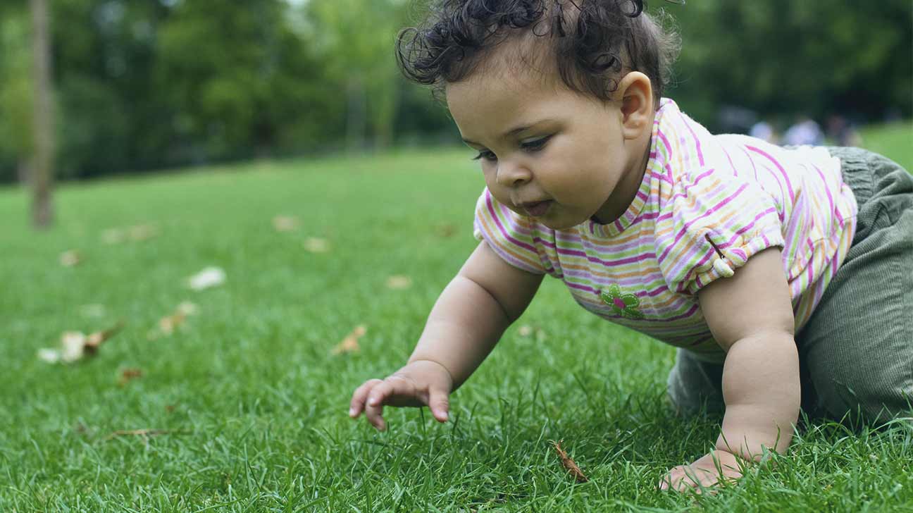 Crawling Crawling