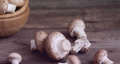 Mushrooms Gout All Mushroom Info
