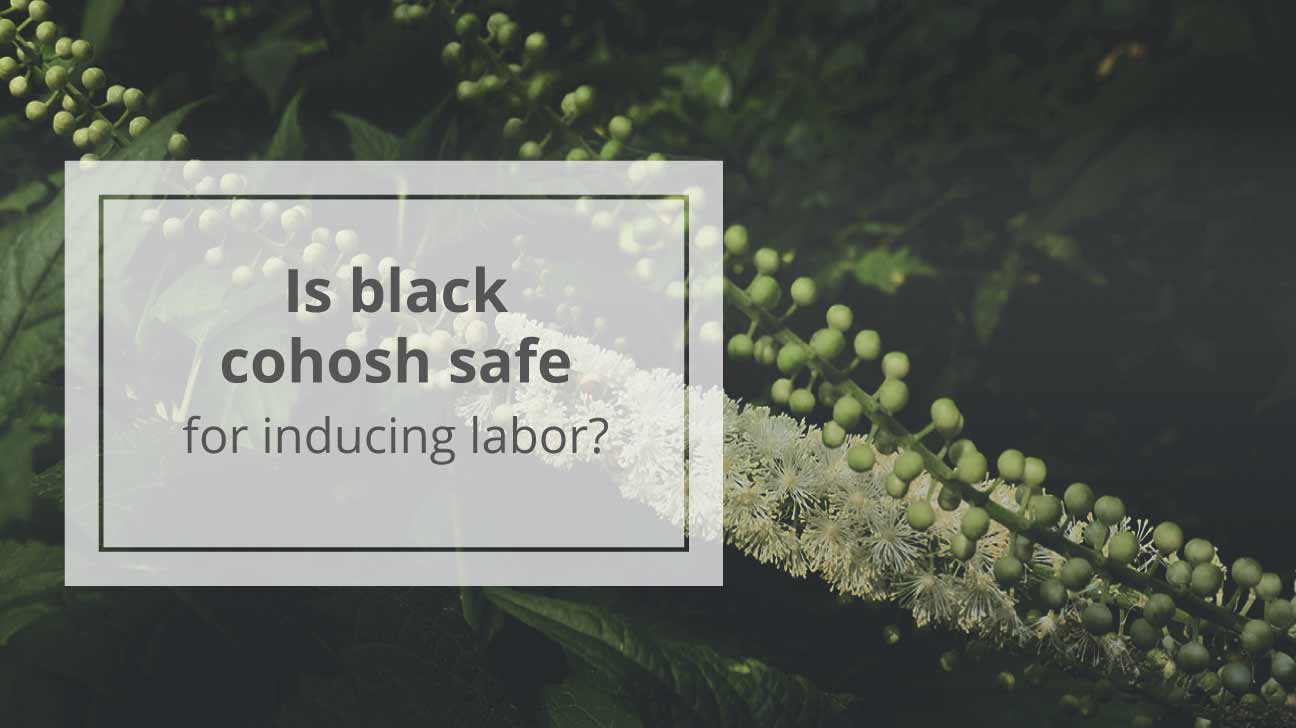 Black Cohosh to Induce Labor Is It Safe?
