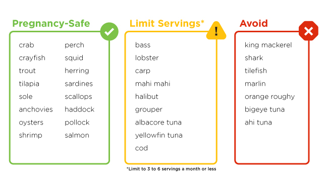 7 Month Pregnancy Diet Chart